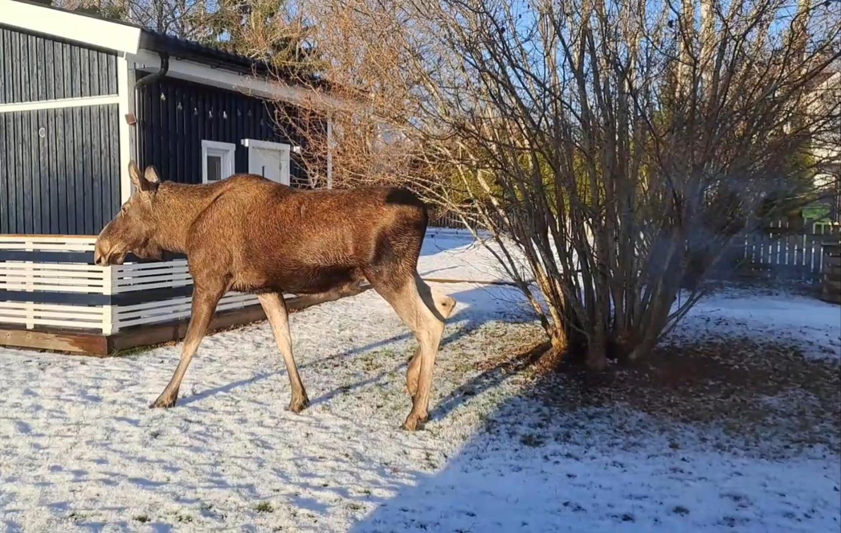Lillhuset Naera Stockholm Villa Tungelsta Eksteriør bilde